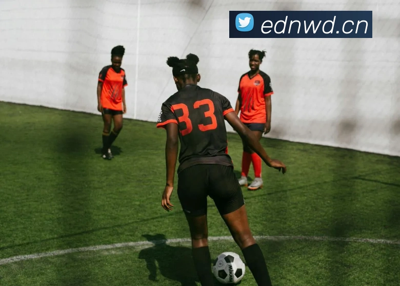 多媒体互动体验